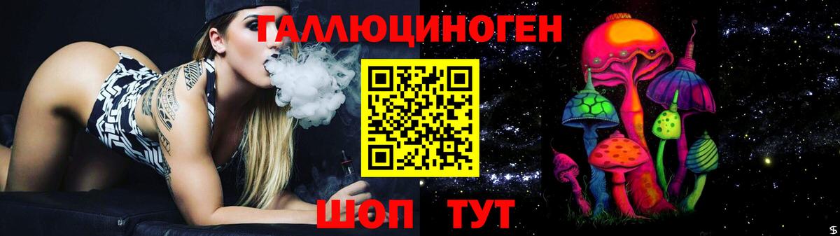 Красноуфимск  Псилоцибиновые грибы прущие грибы  Вход с VPN  Галлюциногенные грибы Psilocybine cubensis 